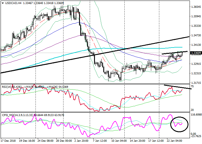 24美加2.png 24美加2.png